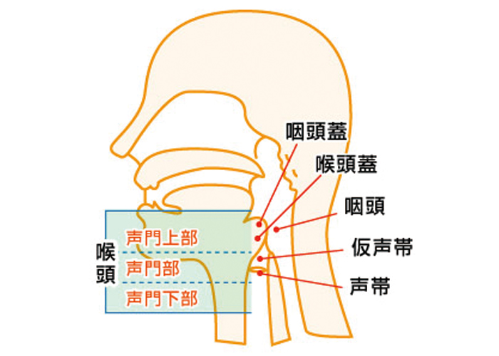 喉頭がんとは